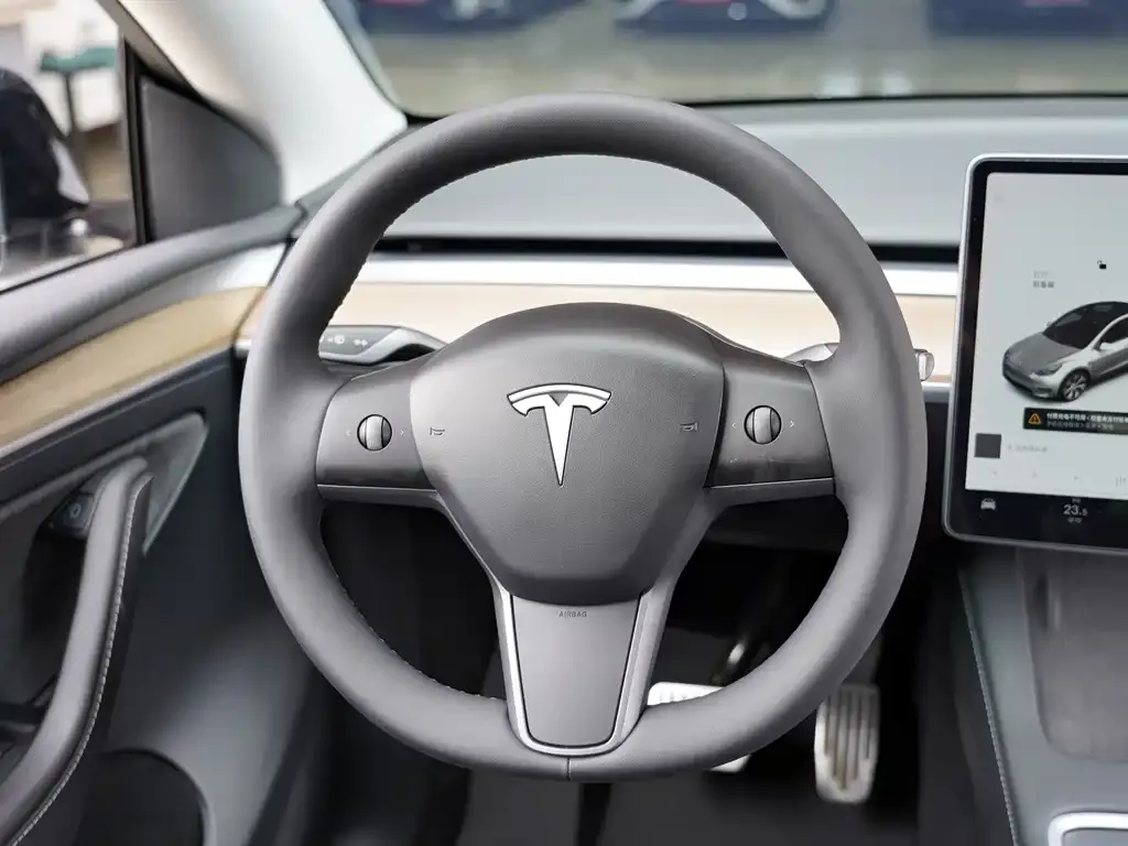 Tesla Model Y 2021 из CN, фото 9