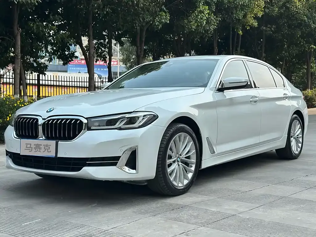 BMW 5 Series 2022 из CN, фото 1