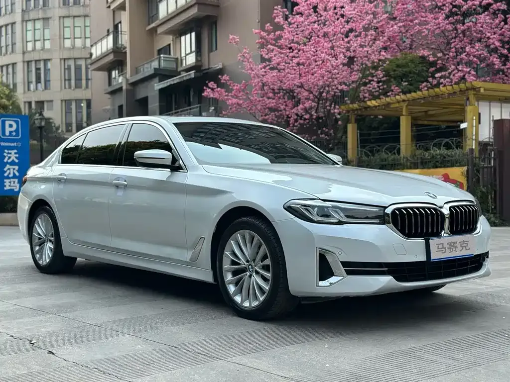 BMW 5 Series 2022 из CN, фото 2