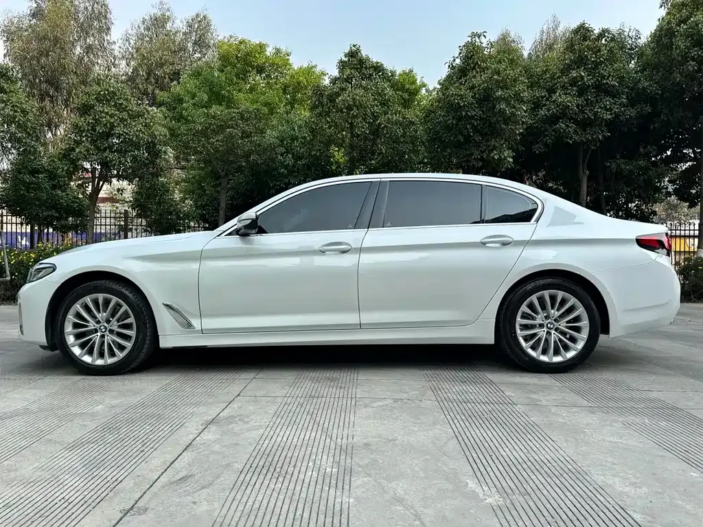 BMW 5 Series 2022 из CN, фото 3