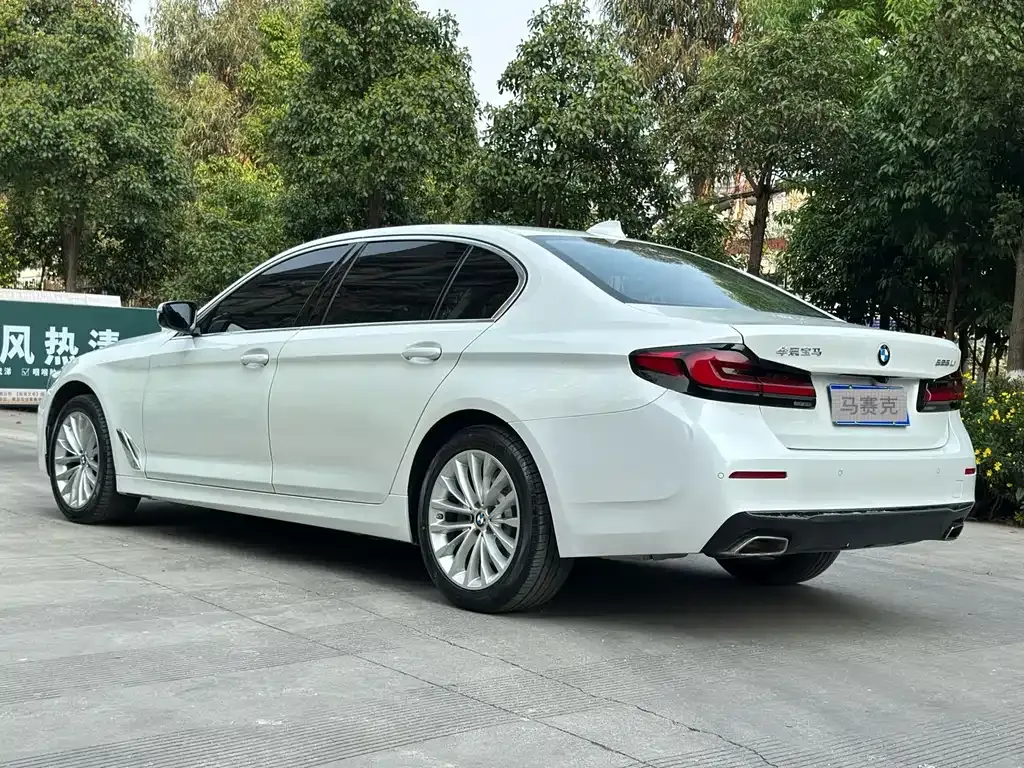 BMW 5 Series 2022 из CN, фото 5