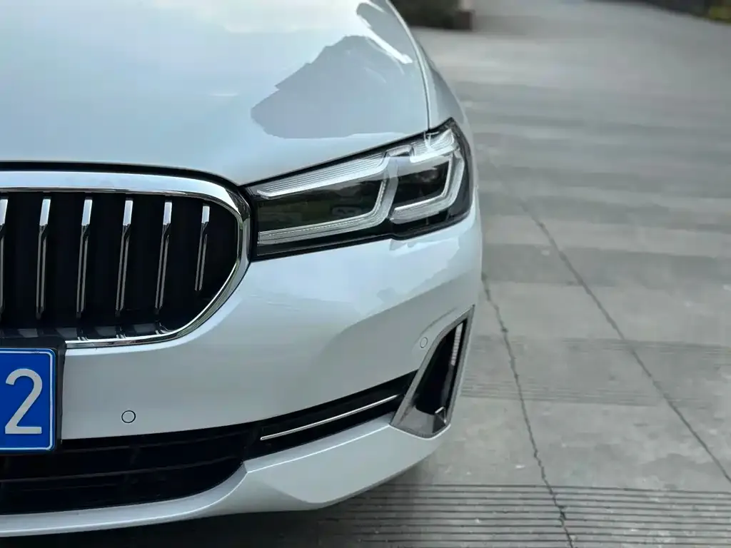 BMW 5 Series 2022 из CN, фото 7