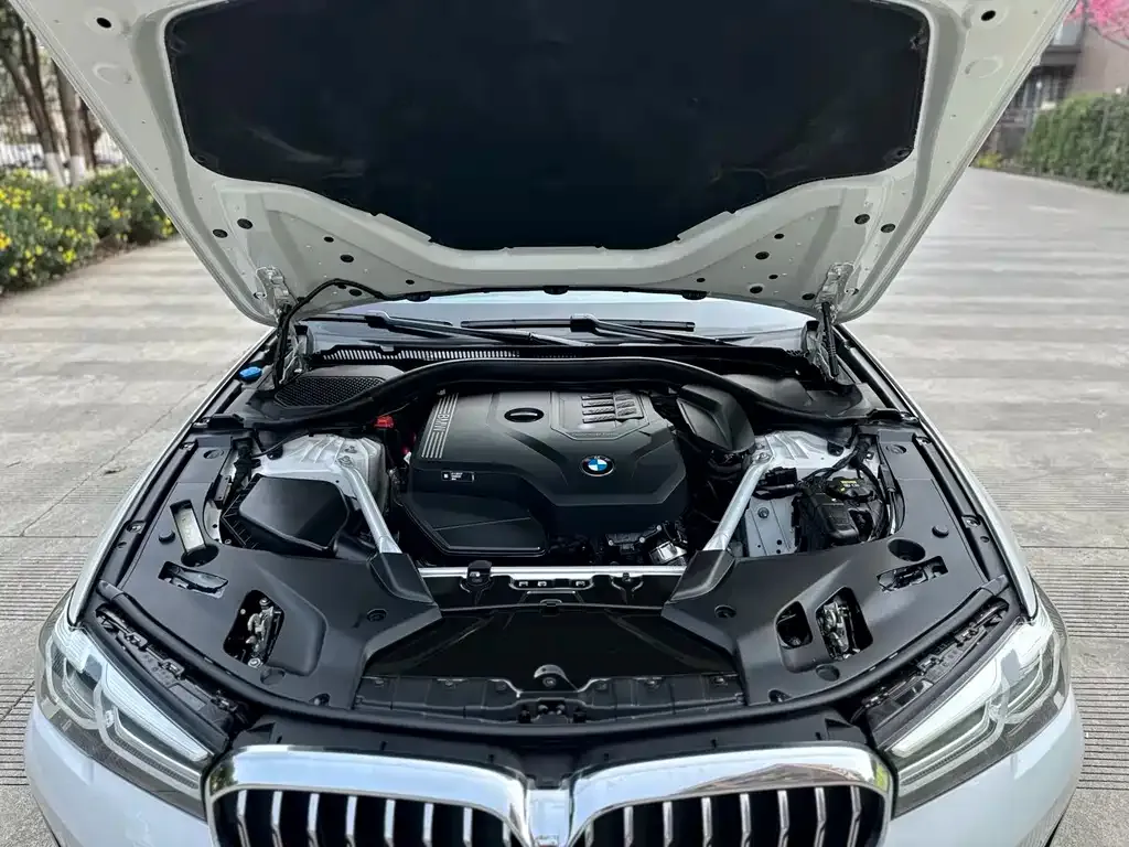 BMW 5 Series 2022 из CN, фото 8