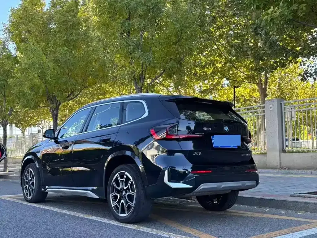 BMW X1 2024 из CN, фото 6