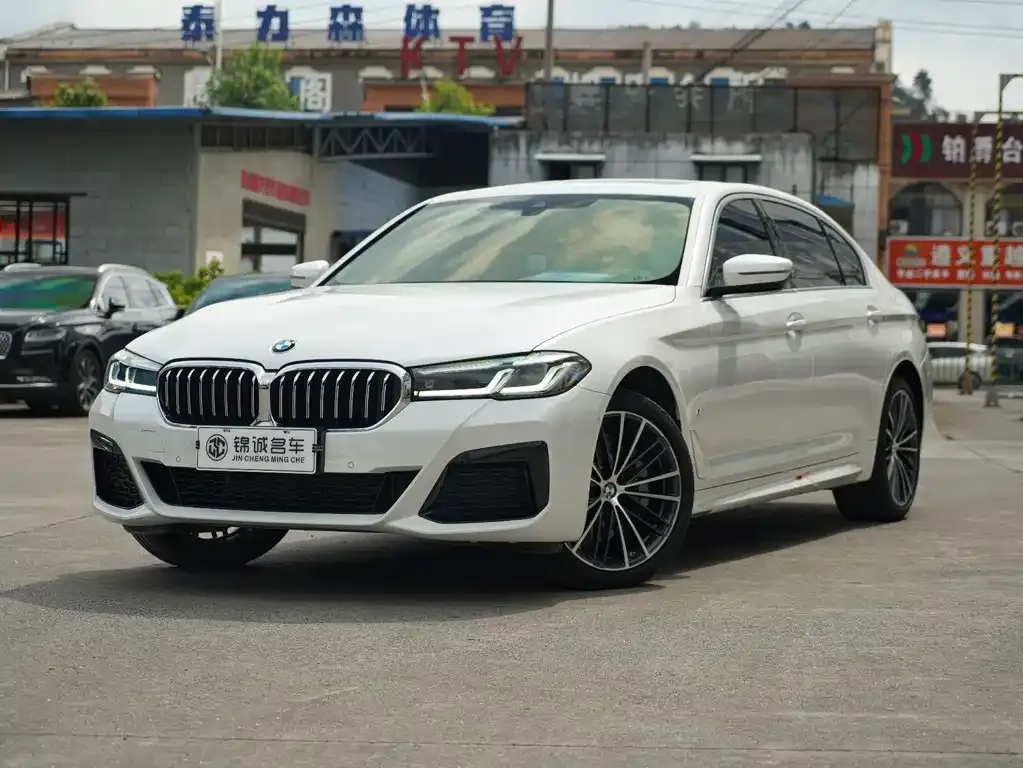 BMW 5 Series 2023 из CN, фото 1