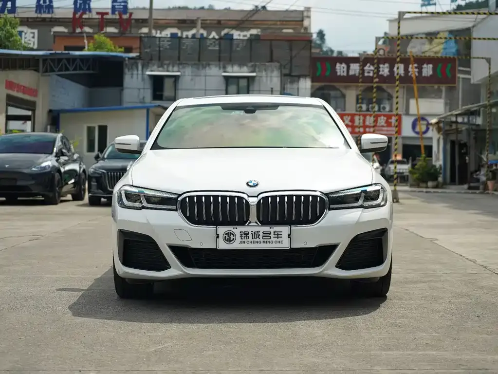 BMW 5 Series 2023 из CN, фото 2