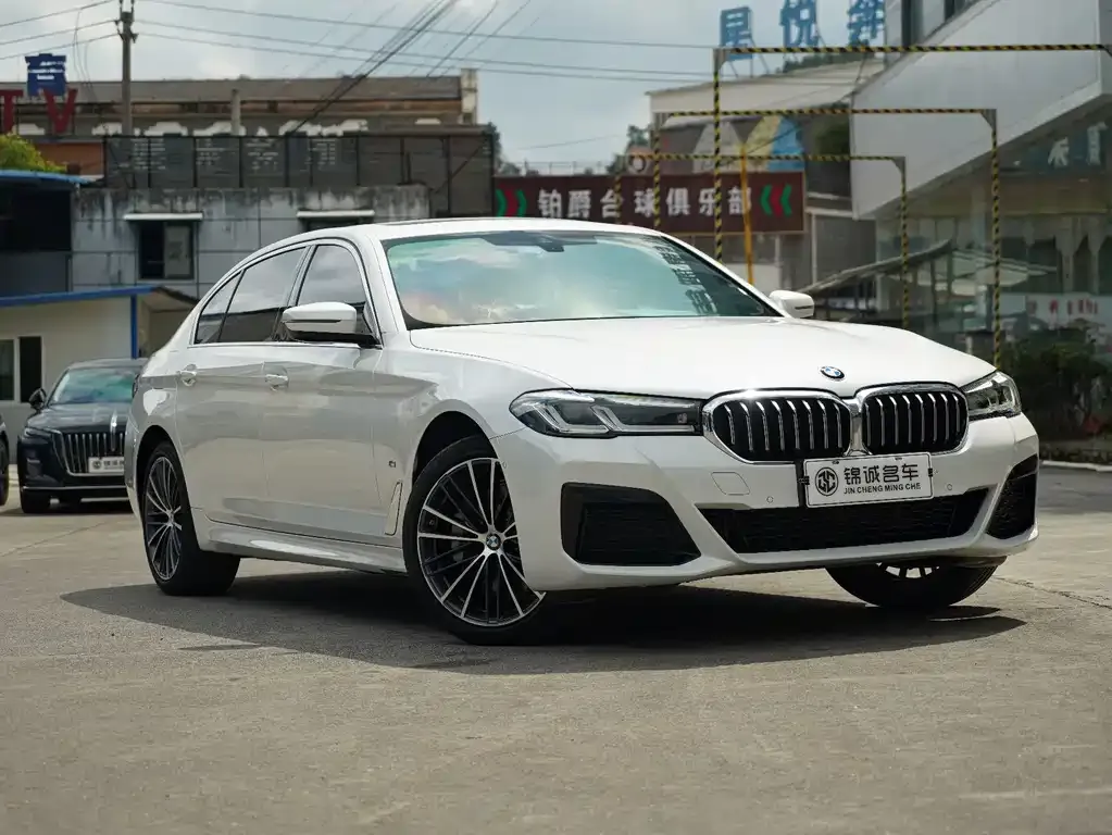 BMW 5 Series 2023 из CN, фото 3