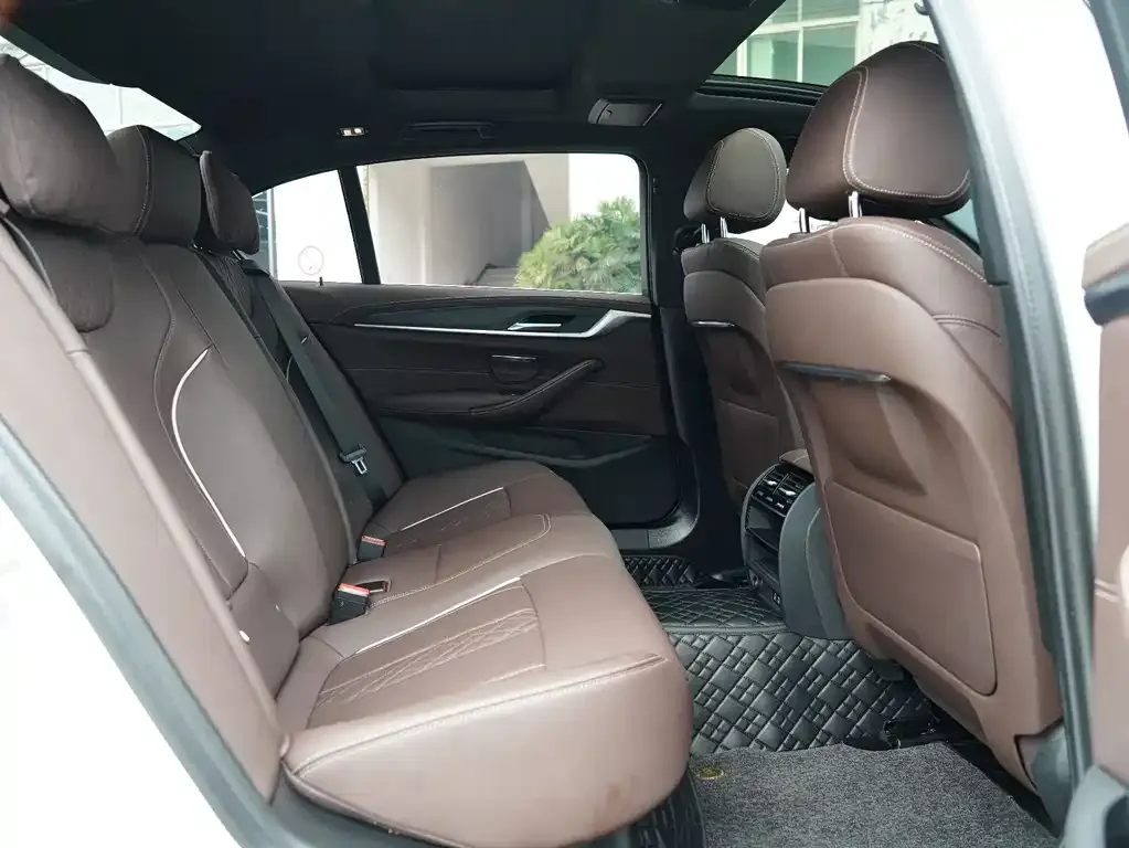 BMW 5 Series 2023 из CN, фото 6