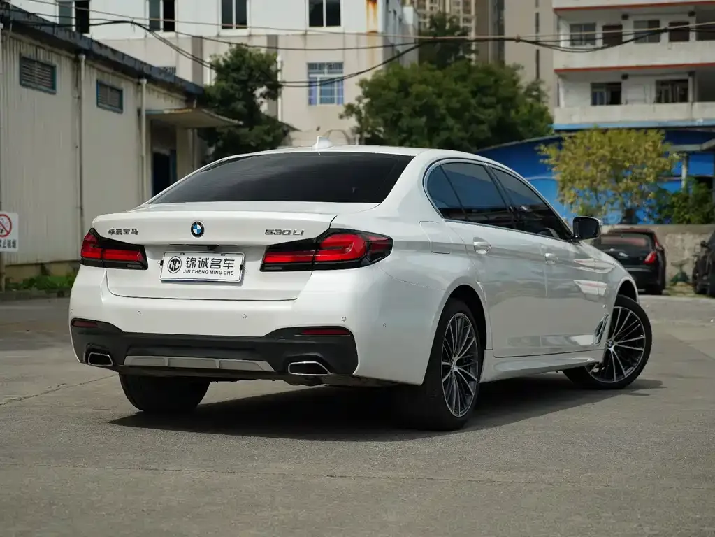 BMW 5 Series 2023 из CN, фото 7