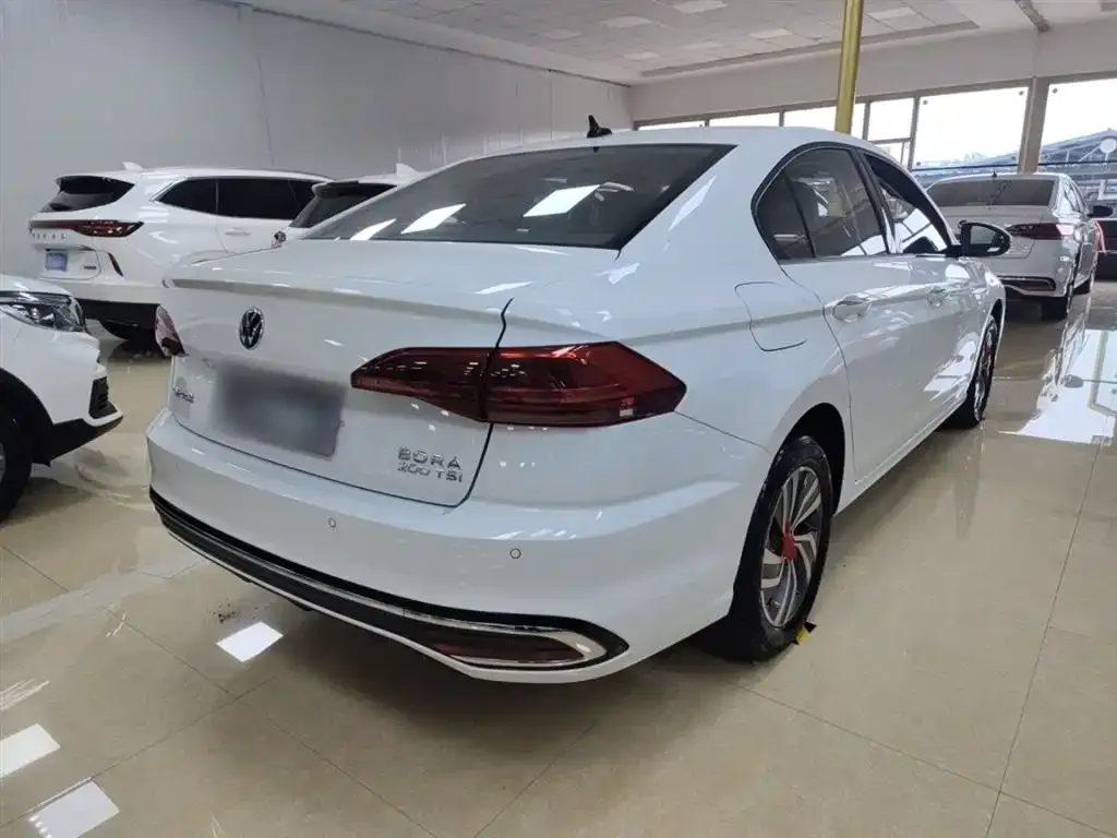 [object Object] Bora 2024 из CN, фото 5