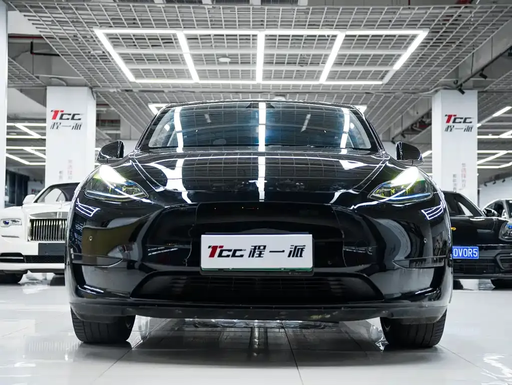 Tesla Model Y — фото 2