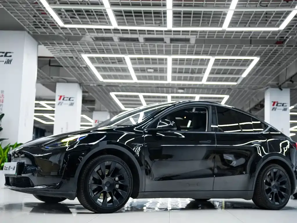 Tesla Model Y — фото 3