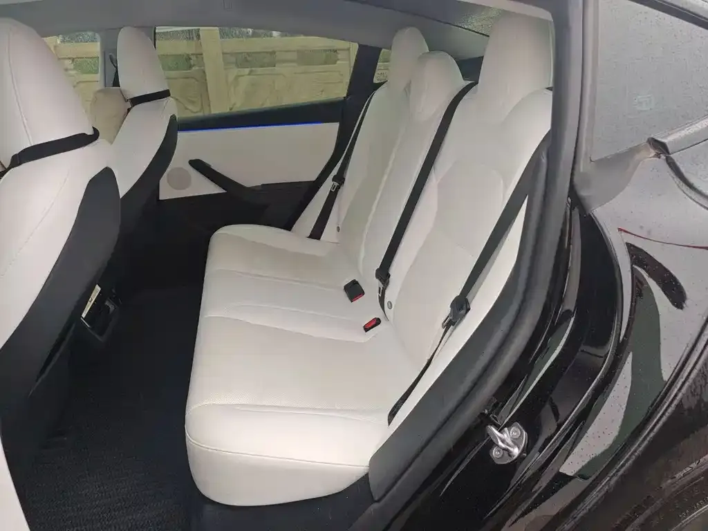 Tesla Model 3 2024 из CN, фото 10