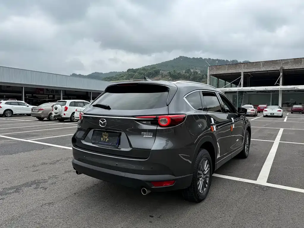 Mazda CX-8 2021 из CN, фото 4