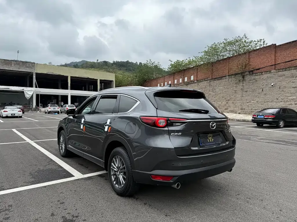 Mazda CX-8 2021 из CN, фото 6