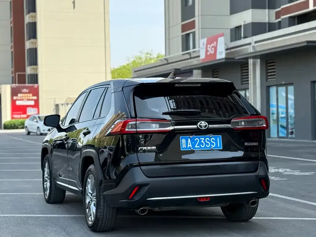 Toyota Wildlander 2021 из CN, фото 10
