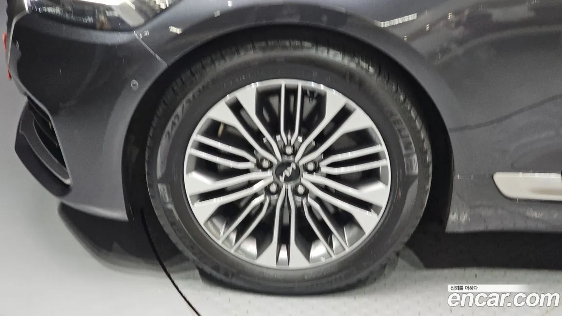 [object Object] K9 2023 из KR, фото 5