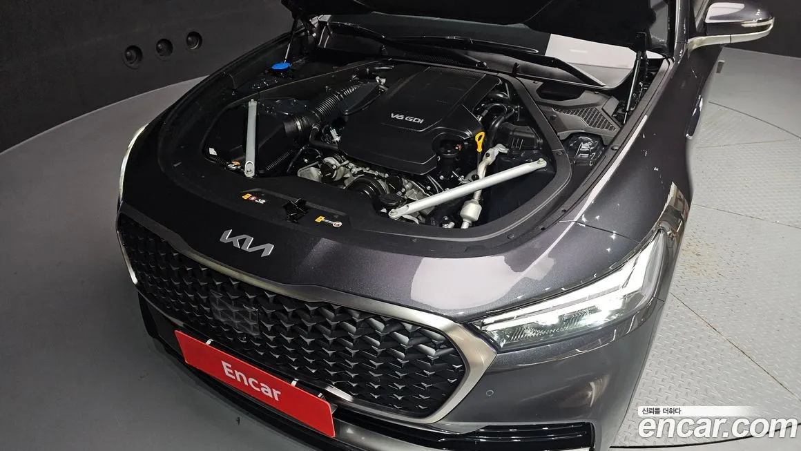 [object Object] K9 2023 из KR, фото 6