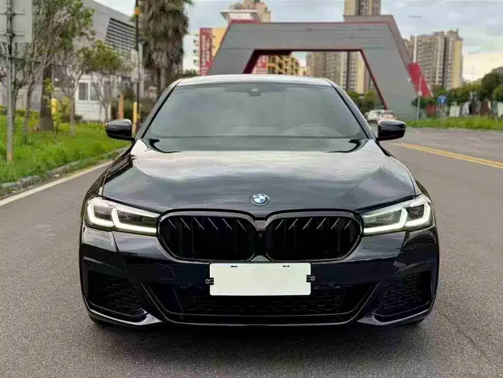 BMW 5 Series 2021 из CN, фото 1