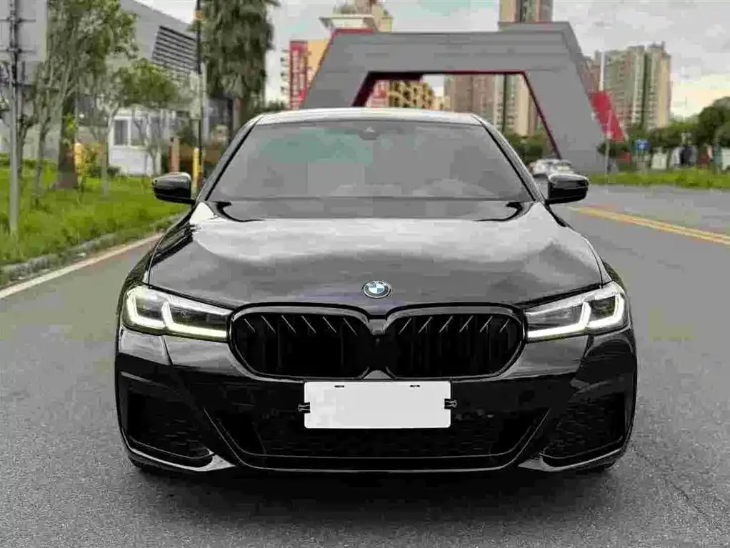 BMW 5 Series 2021 из CN, фото 10