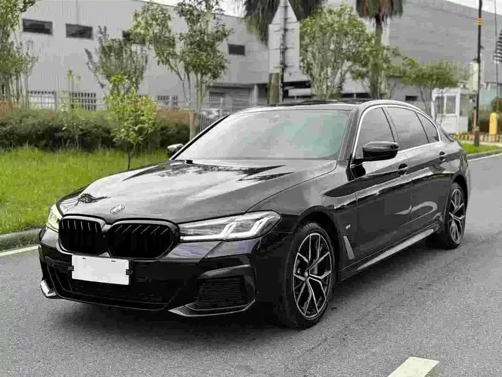 BMW 5 Series 2021 из CN, фото 2