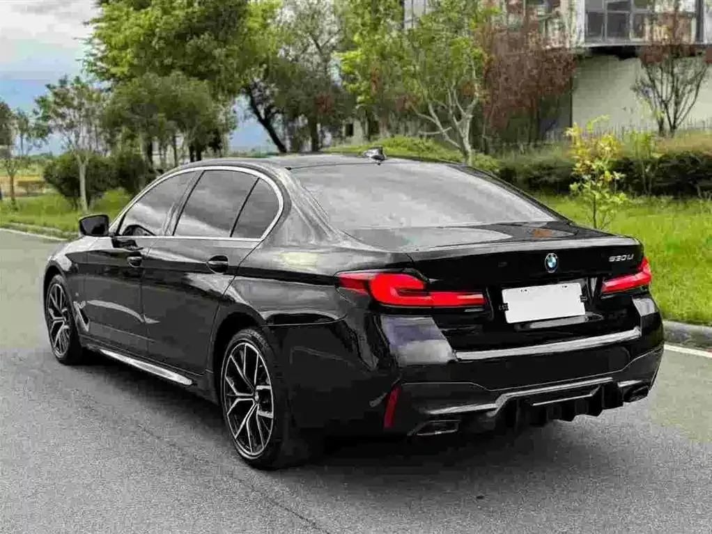 BMW 5 Series 2021 из CN, фото 3