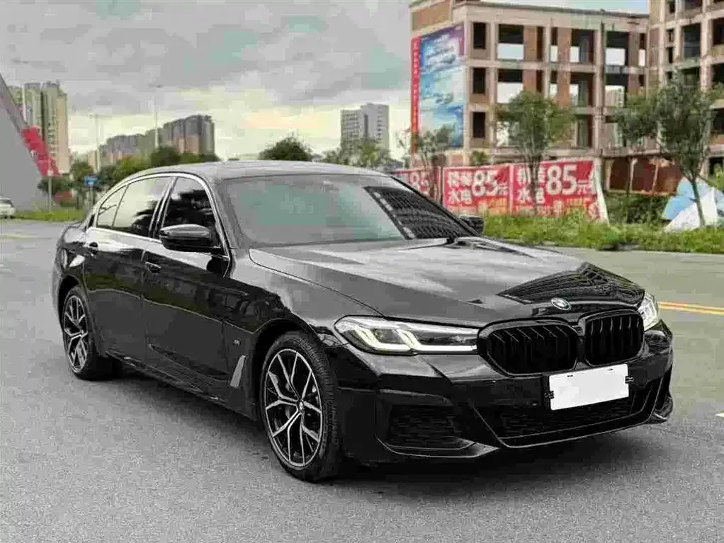 BMW 5 Series 2021 из CN, фото 5
