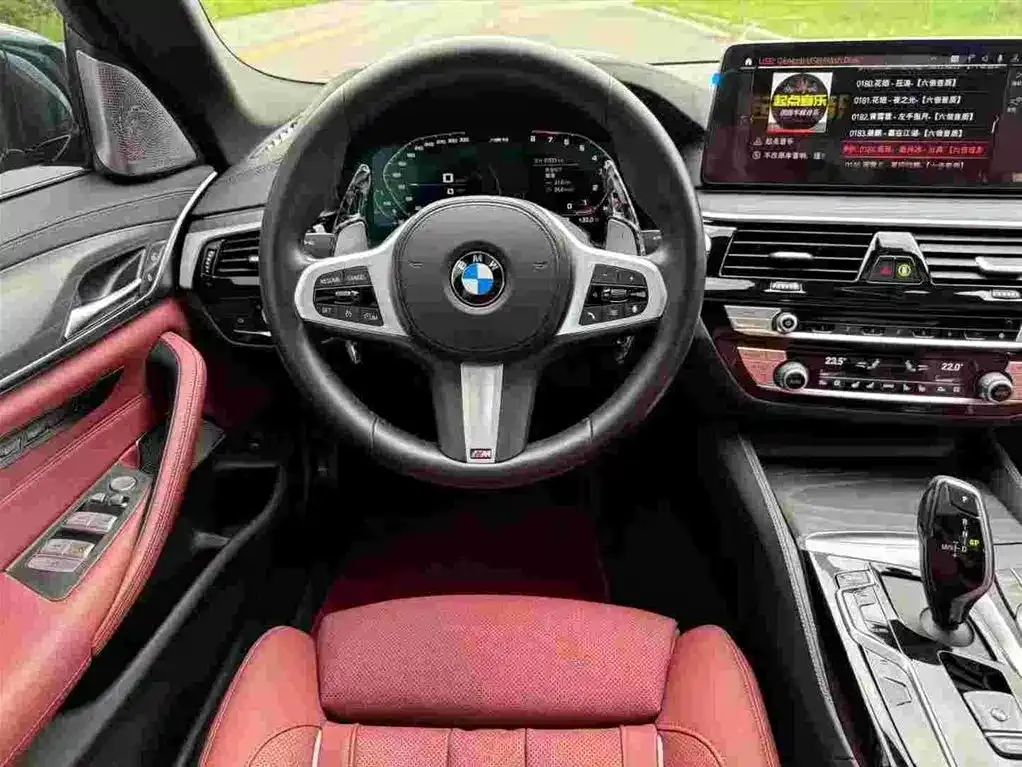BMW 5 Series 2021 из CN, фото 6