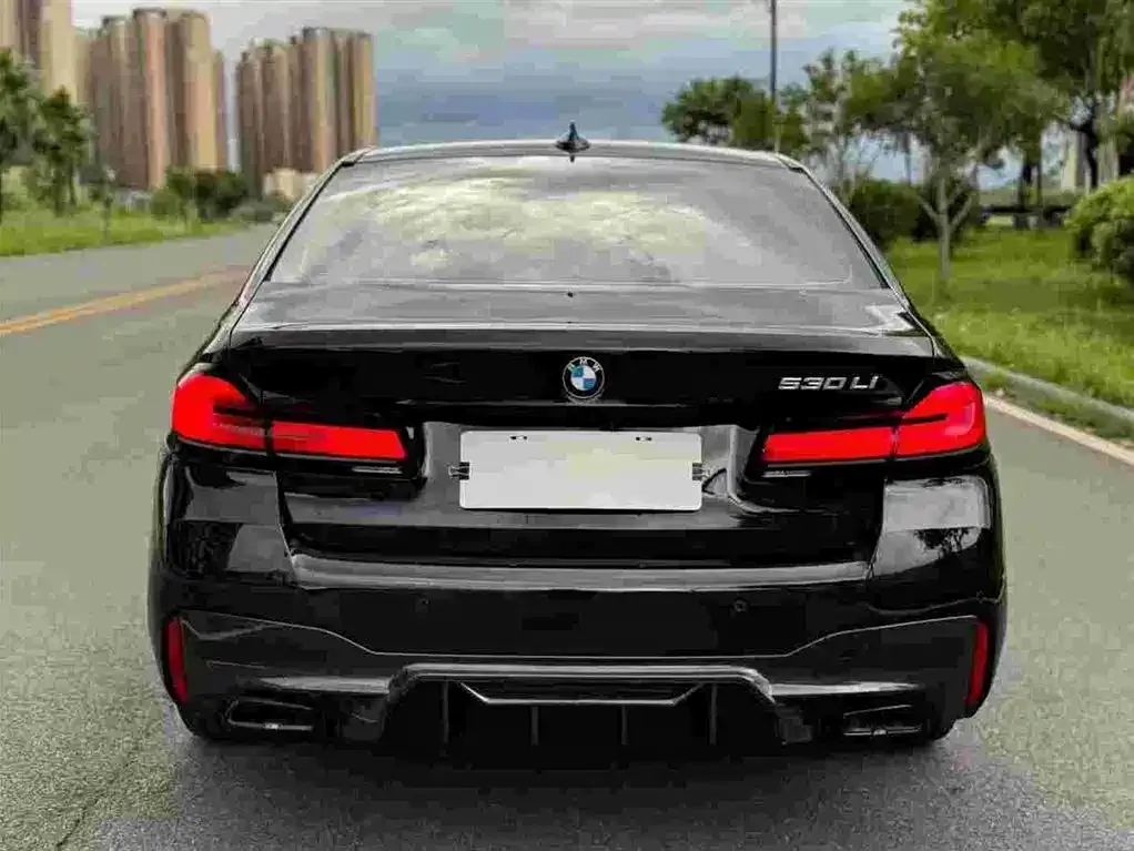 BMW 5 Series 2021 из CN, фото 8