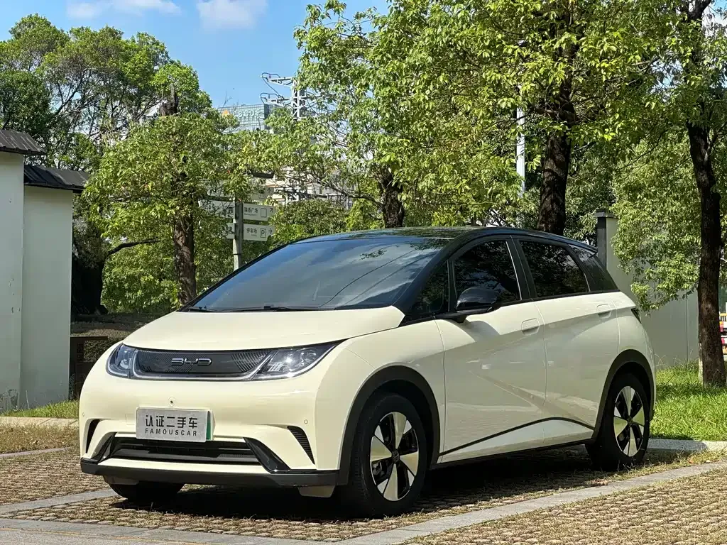 BYD Dolphin 2023 из CN, фото 1