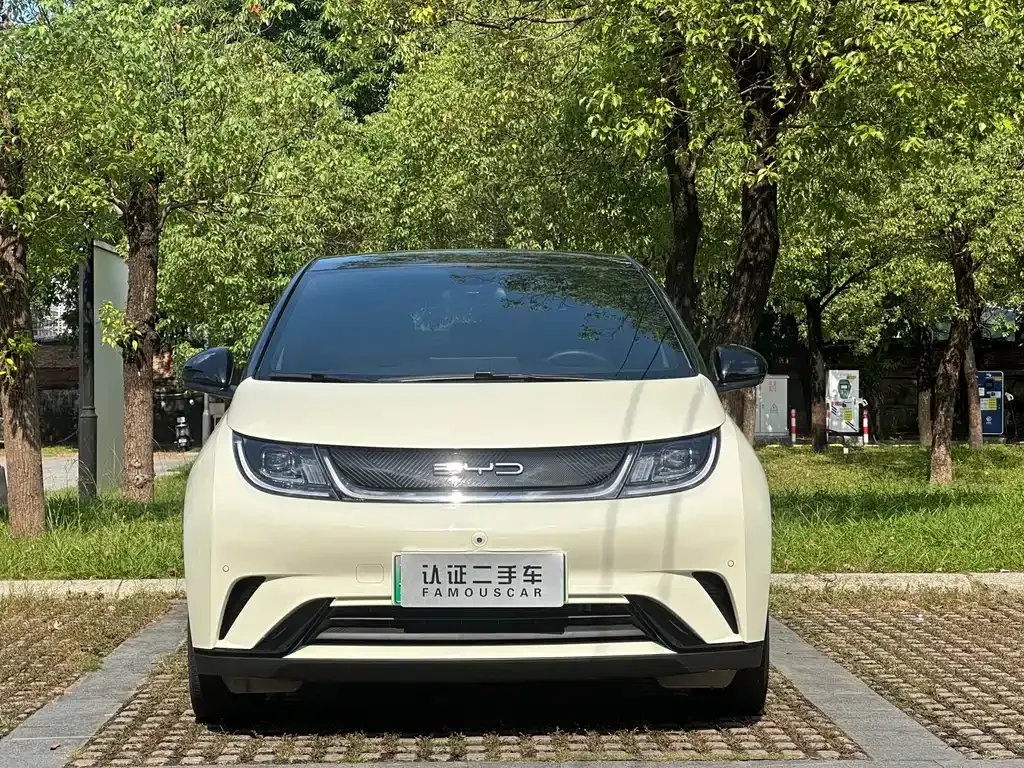 BYD Dolphin 2023 из CN, фото 2