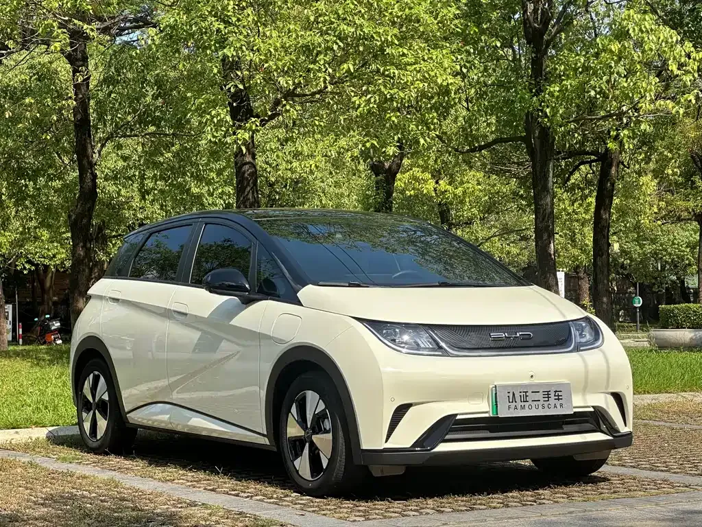 BYD Dolphin 2023 из CN, фото 3
