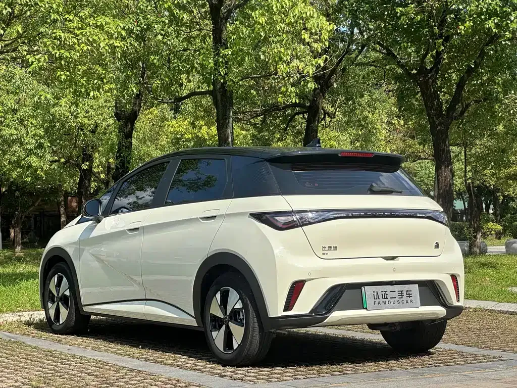 BYD Dolphin 2023 из CN, фото 4