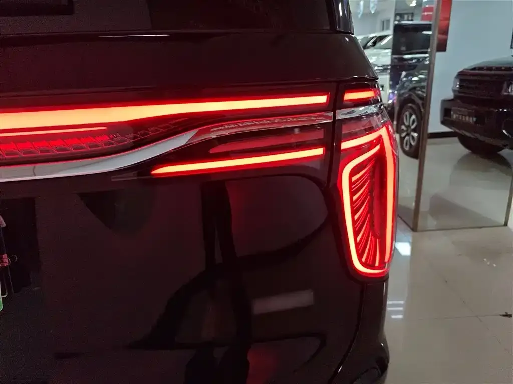 Hongqi HQ9 2023 из CN, фото 8