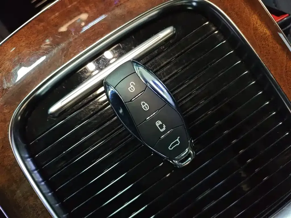 Hongqi HQ9 2023 из CN, фото 9