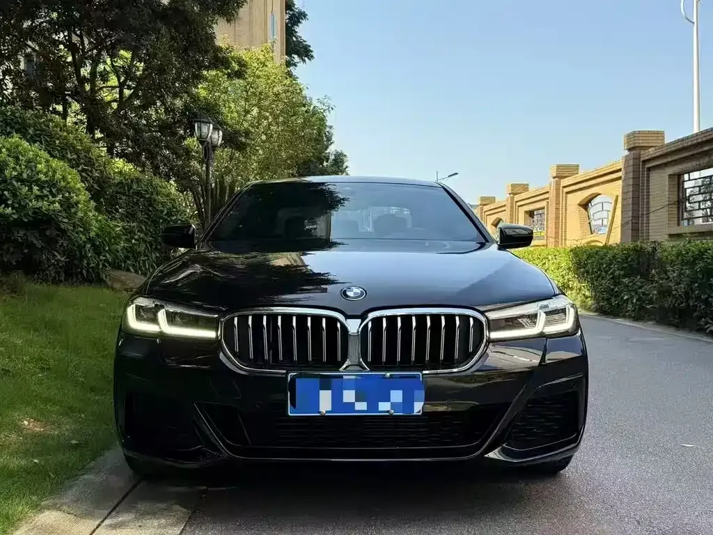 BMW 5 Series 2022 из CN, фото 1