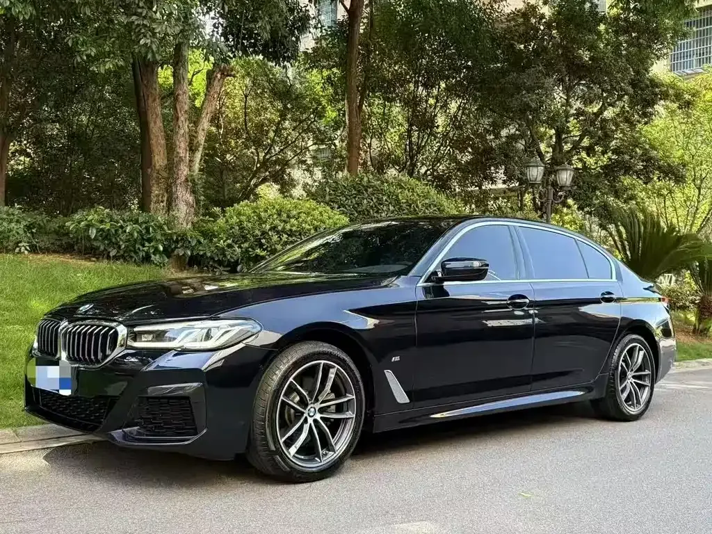 BMW 5 Series 2022 из CN, фото 2
