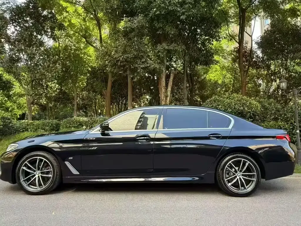 BMW 5 Series 2022 из CN, фото 3