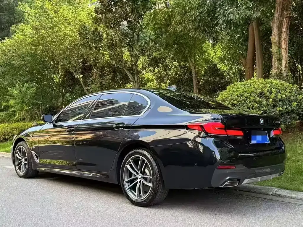 BMW 5 Series 2022 из CN, фото 4