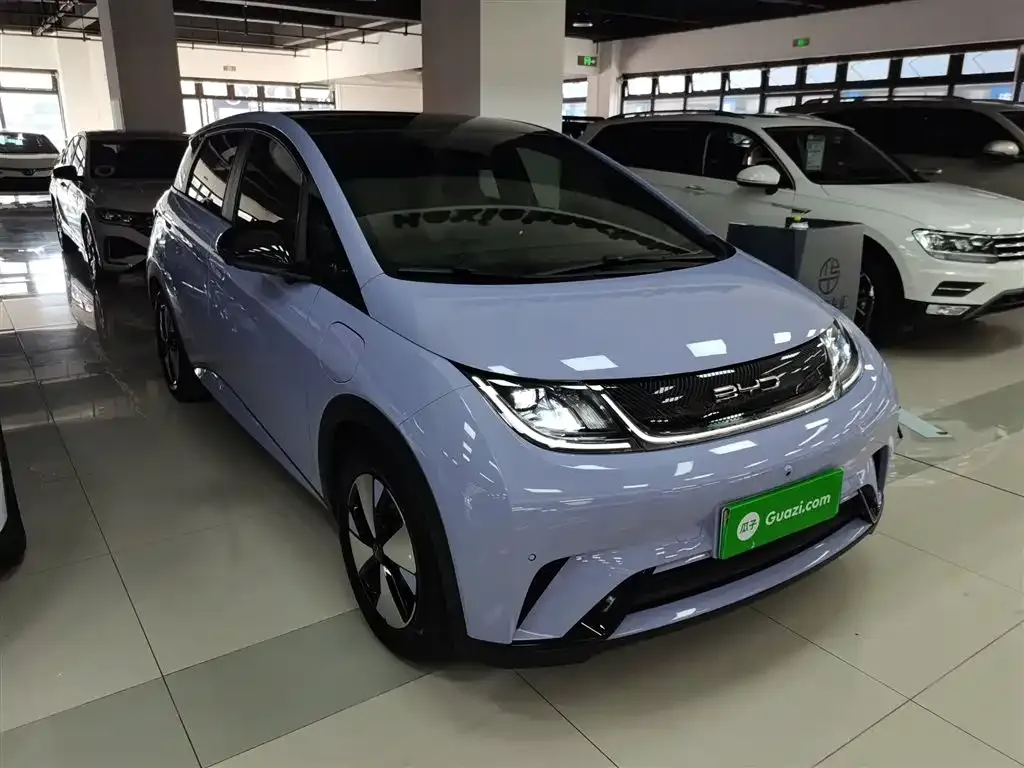 BYD Dolphin 2024 из CN, фото 4