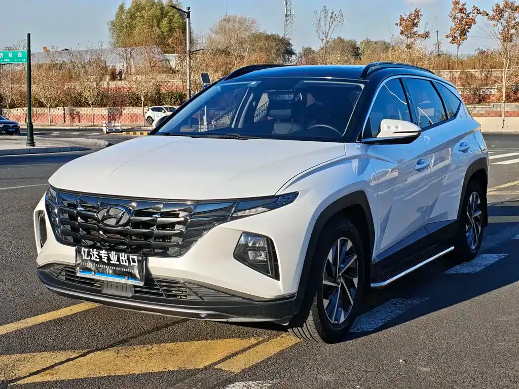 Hyundai Tucson 2021 из CN, фото 1