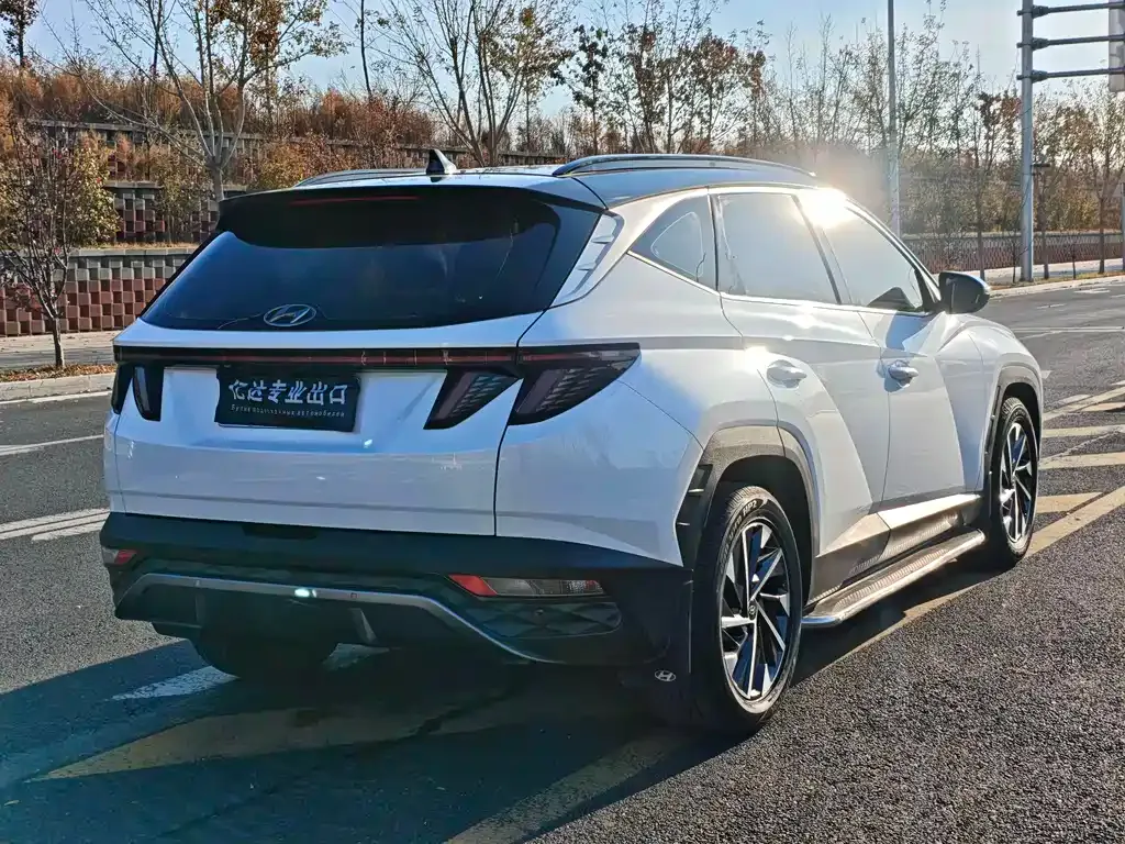 Hyundai Tucson 2021 из CN, фото 6
