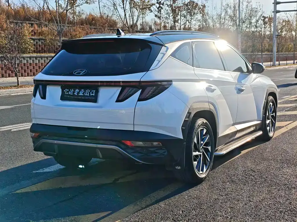 Hyundai Tucson 2021 из CN, фото 9