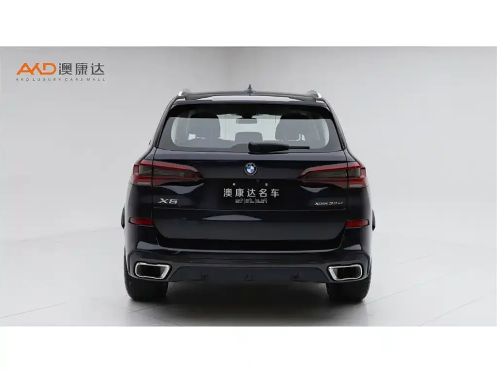 BMW X5 2023 из CN, фото 4