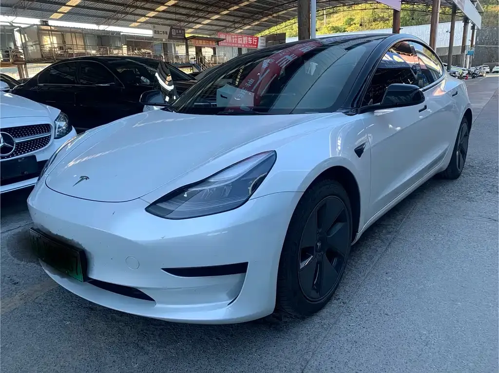 Tesla Model 3 2021 из CN, фото 1