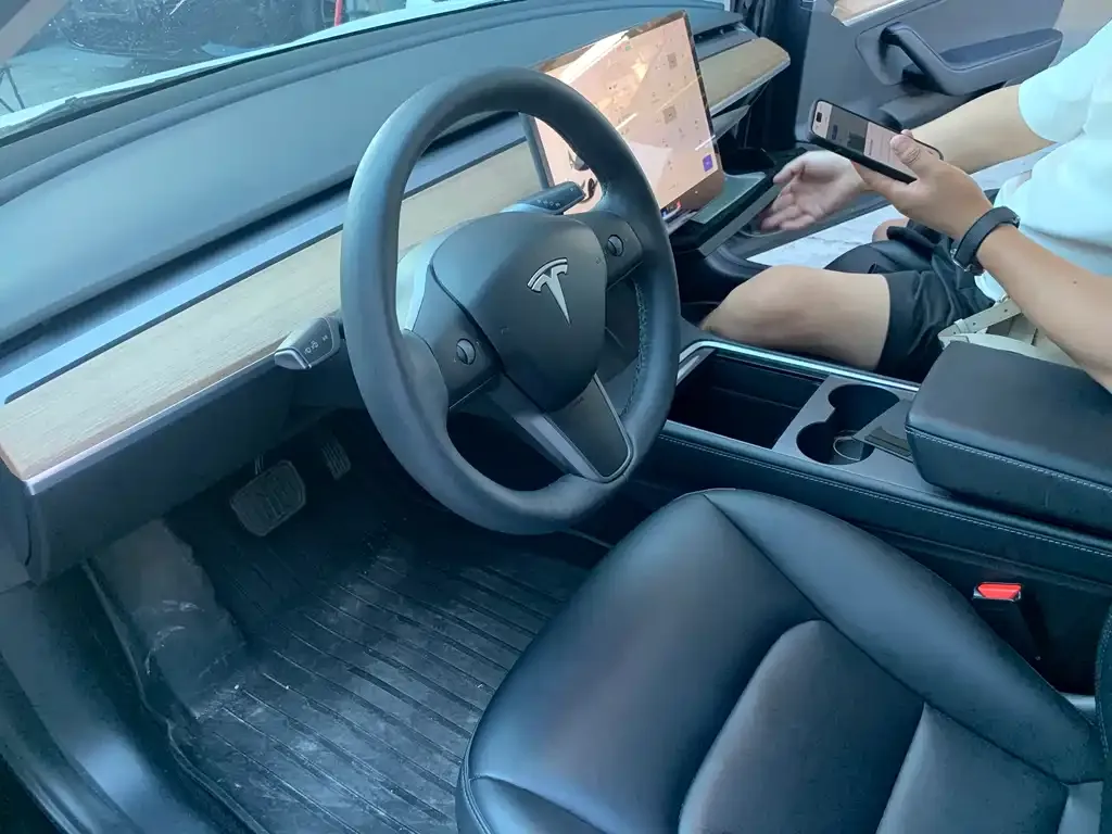 Tesla Model 3 2021 из CN, фото 3