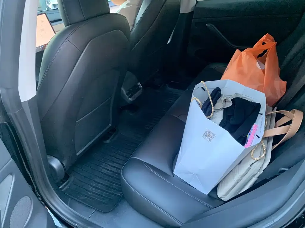 Tesla Model 3 2021 из CN, фото 4