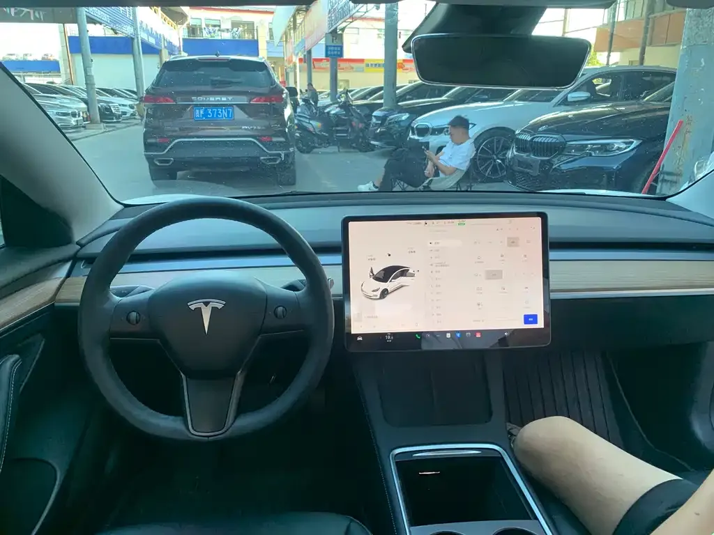 Tesla Model 3 2021 из CN, фото 5