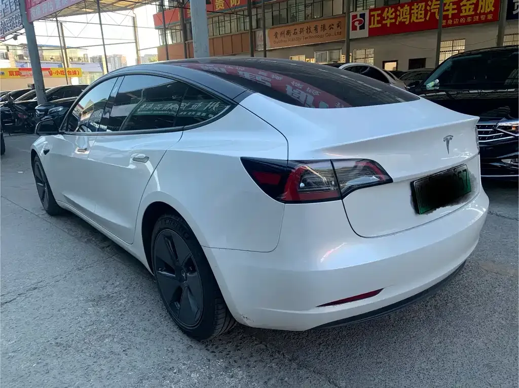 Tesla Model 3 2021 из CN, фото 6