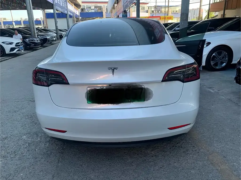 Tesla Model 3 2021 из CN, фото 7